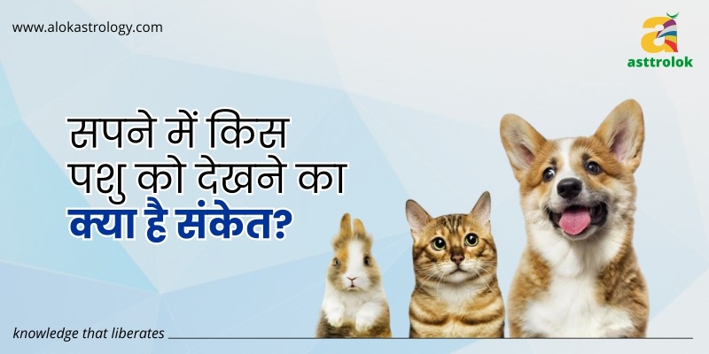 सपने में पशु देखने के संकेत