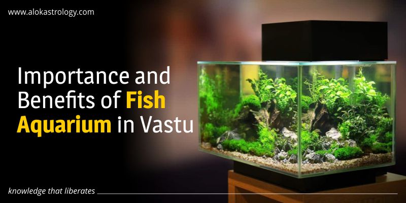 Importance and Benefits of Fish Aquarium in Vastu
