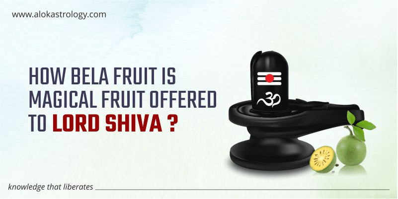 How Bela Patra is magical fruit offered to lord shiva?