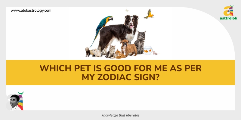 zodiac sign