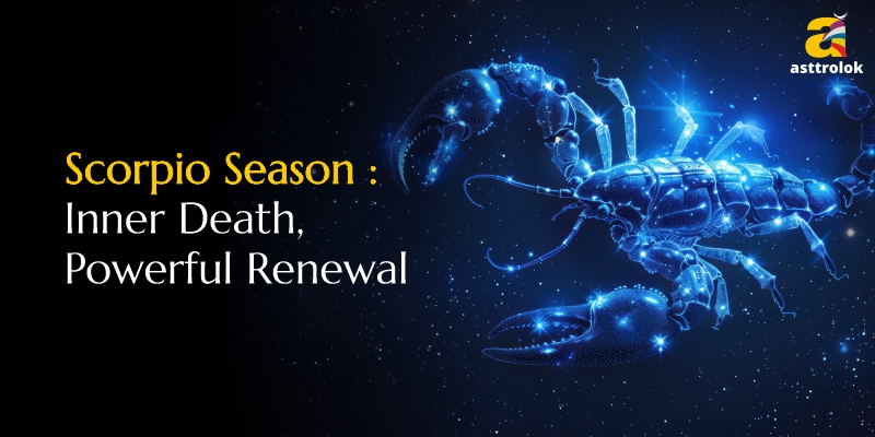 Deep Emotional Cleansing & Rebirth Through Astrology Scorpio Season