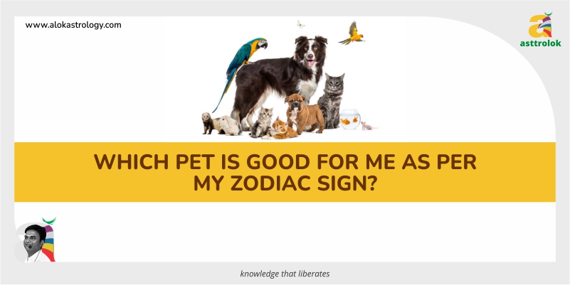 Which pet is good for me as per my zodiac sign?