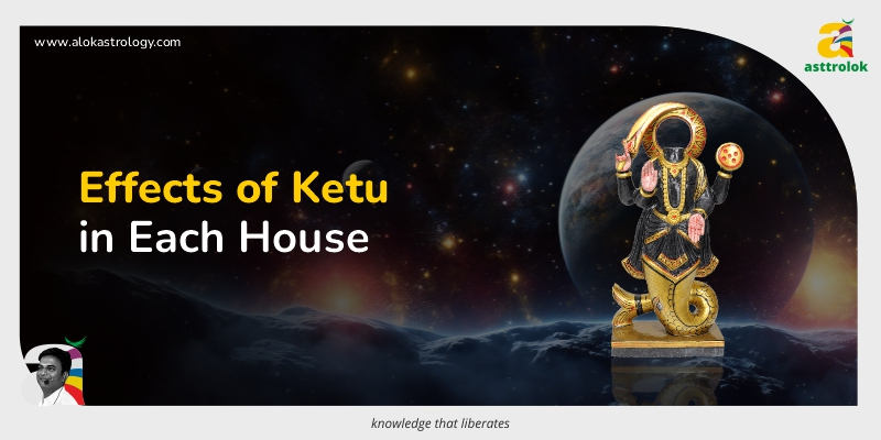Understanding the Effects of Ketu in Each House