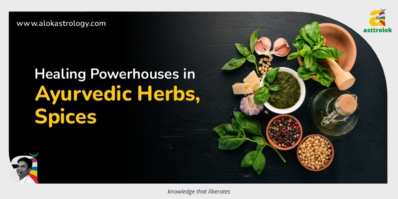 Ayurvedic Herbs and Spices: Healing Powerhouses for Well-being